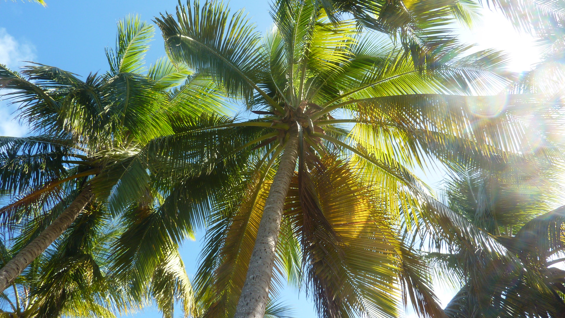 F&Ecirc;TE DES ASSOCIATIONS