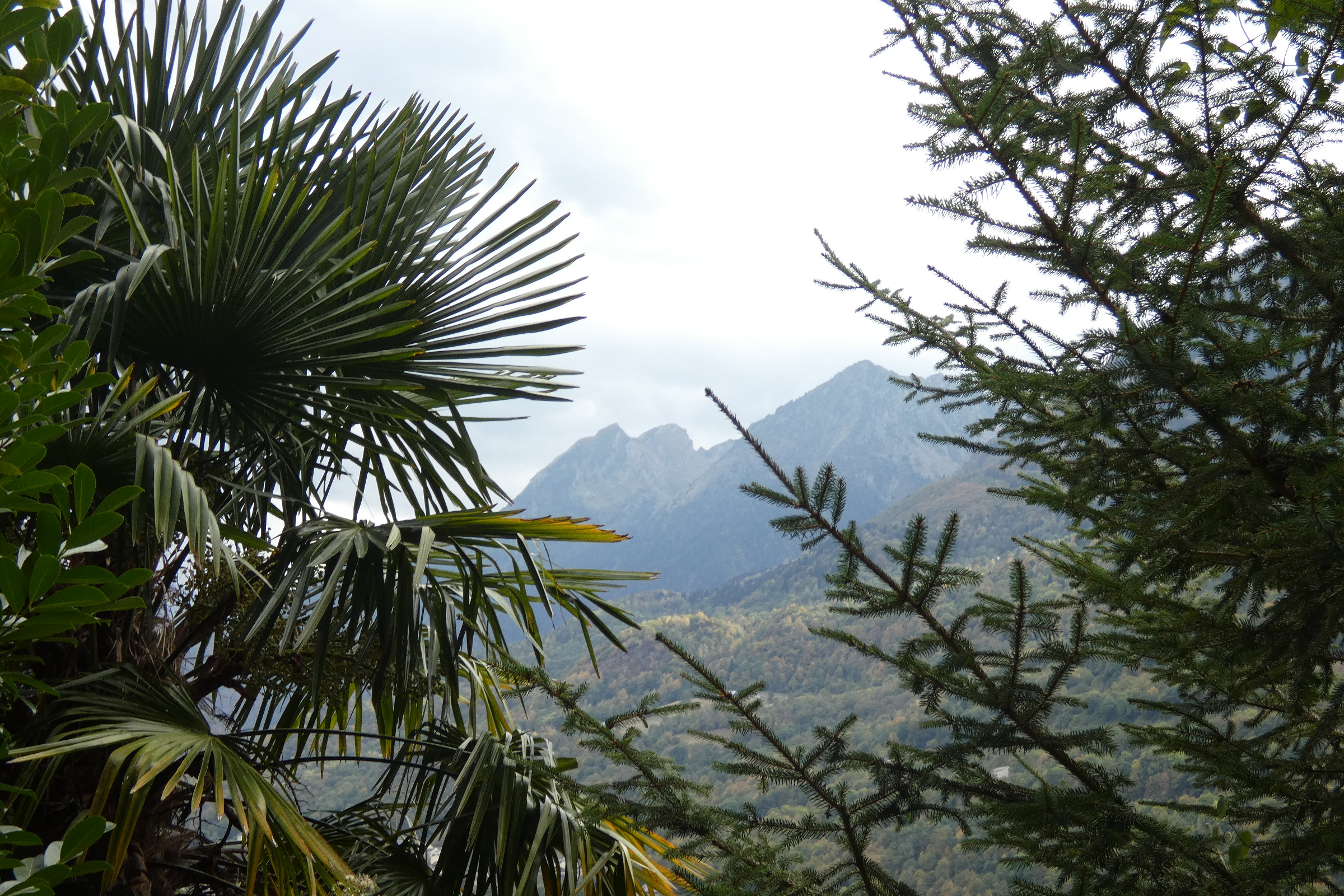 VACANCES D'HIVER 2025