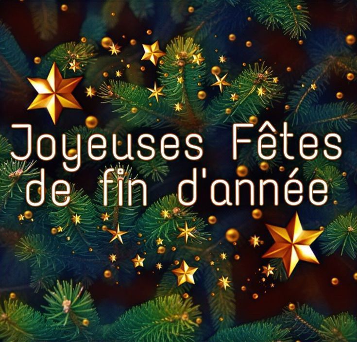 Vacances de No&euml;l 2025